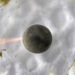 Oct17-day03-1019_0772