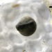 Oct17-day04-1020_0787