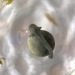 Oct17-day05-1021_0790
