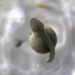 Oct17-day06-1022_0792
