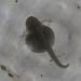 Oct17-day07-1023_0831