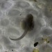 Oct17-day08-1024_0848