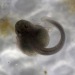 Oct17-day09-1025_0874