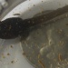 Oct17-day79-0103_2383