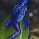 littleSpot-07_0593