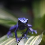 IMG_0866