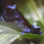 IMG_0878