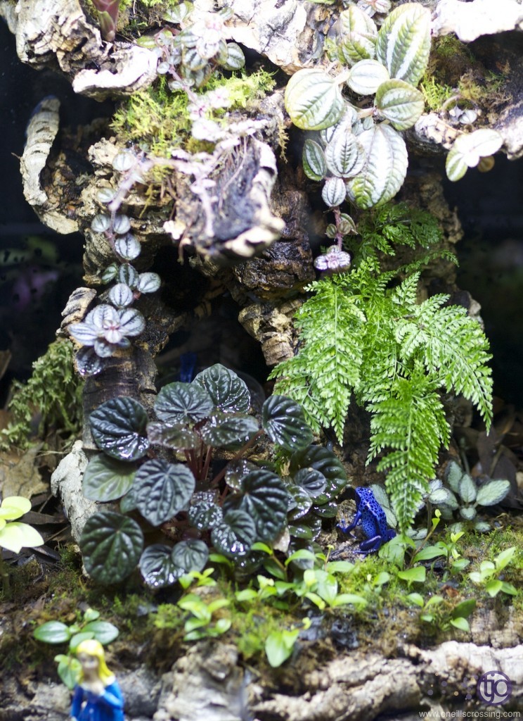 azureus_5059