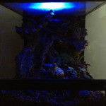 bakhuis-lighting-A