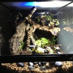 bakhuis-lighting-B