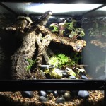 bakhuis-lighting-C