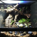 bakhuis-lighting-F