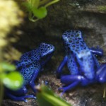 bigAndLittleSpot-2012-07_0911