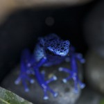 littleSpot-2012-07_0017