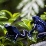 pairBasking-1106-sm_1220