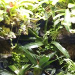 viv-front