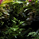 viv-fts-20120916