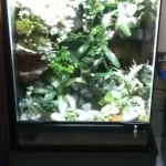 viv-light-08_1110
