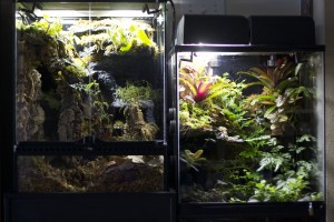 vivs-lighting-dawnDusk_1629