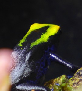 P1050328