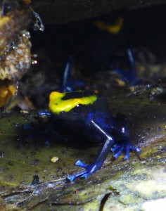 P1050351