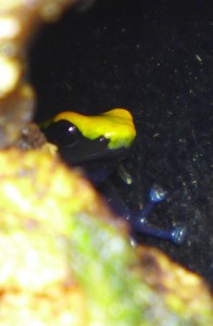 P1050446