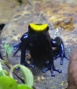 P1050450