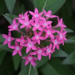 img_3694