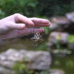 img_3698