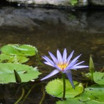 img_3747