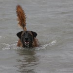 img_4089
