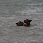 img_4107
