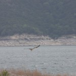 img_4165