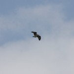 img_4172
