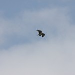 img_4173