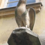 img_4236