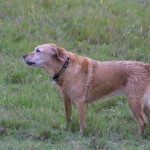 img_4334