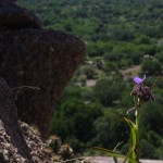 img_4486