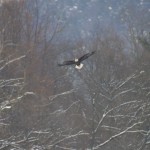 img_4894