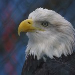 img_5166