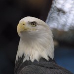 img_5172