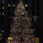 img_5393