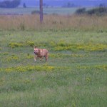 img_9078