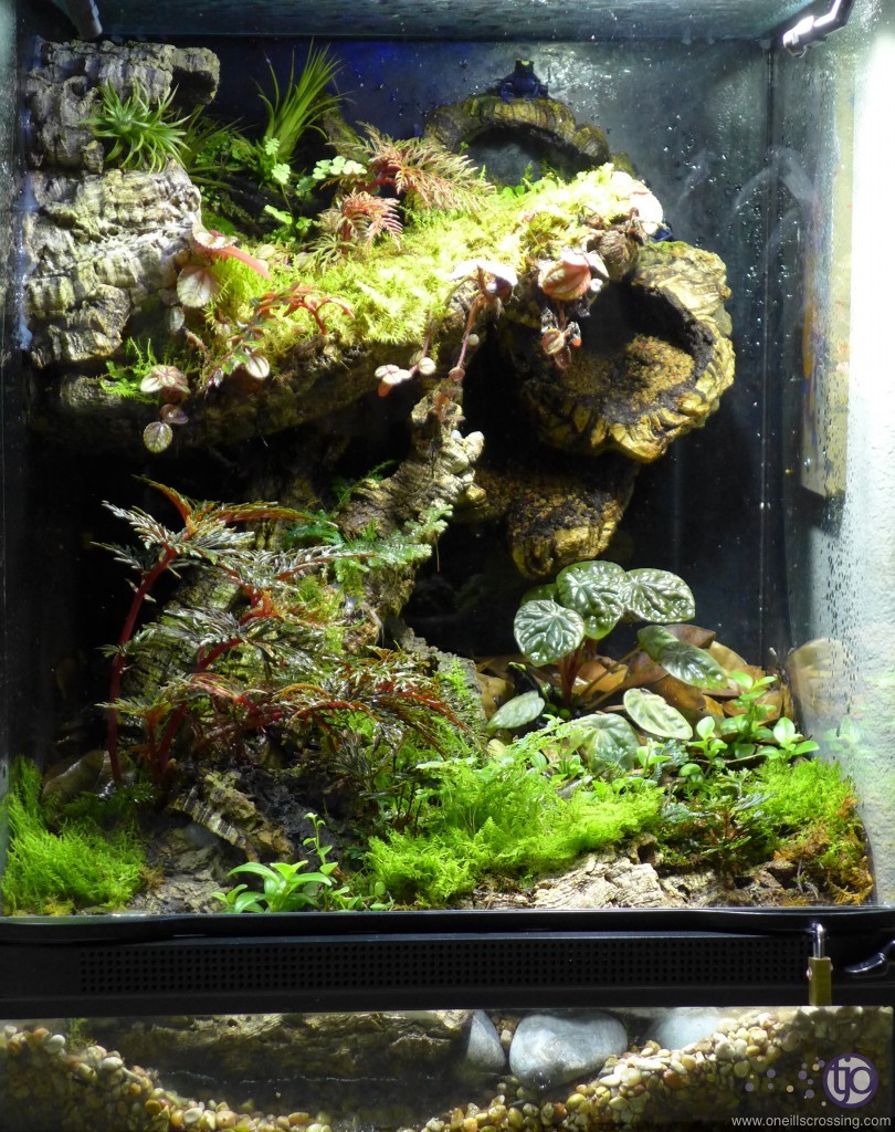 viv-sips-2014-01.P1020421