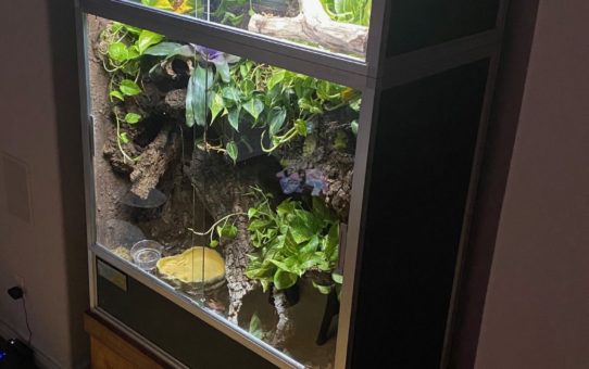 Zen Habitats 4’x2’x4′ review
