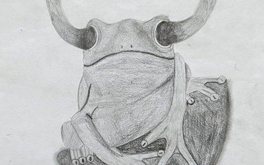 creepy frog