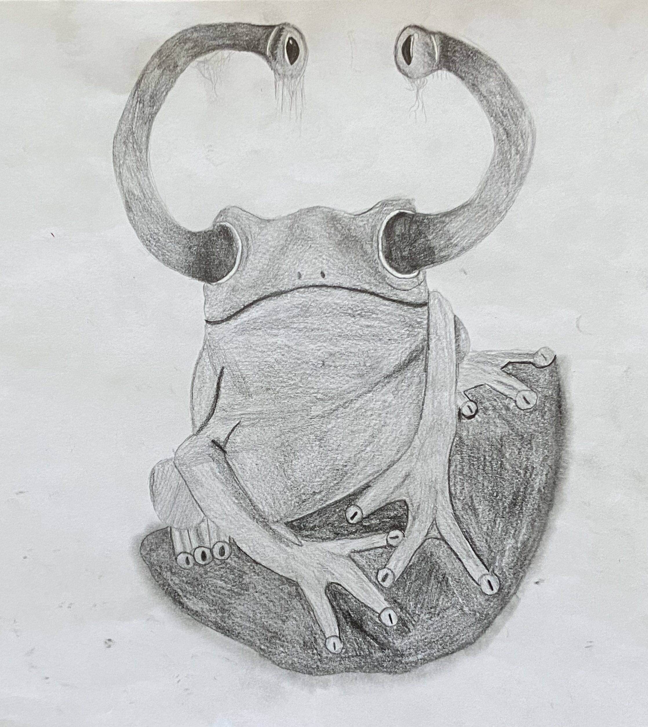 creepy frog