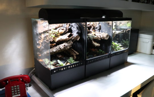 handmade vivarium build