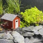 riverine terrarium experiment