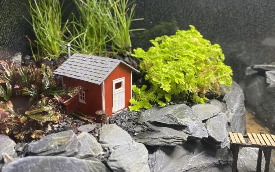 riverine terrarium experiment